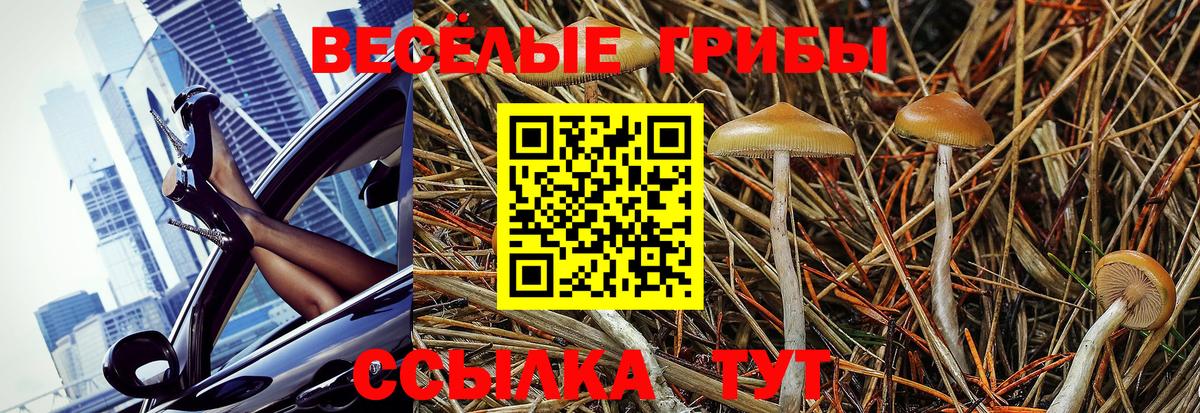 Галлюциногенные грибы GOLDEN TEACHER  Вход с VPN  Новочебоксарск 